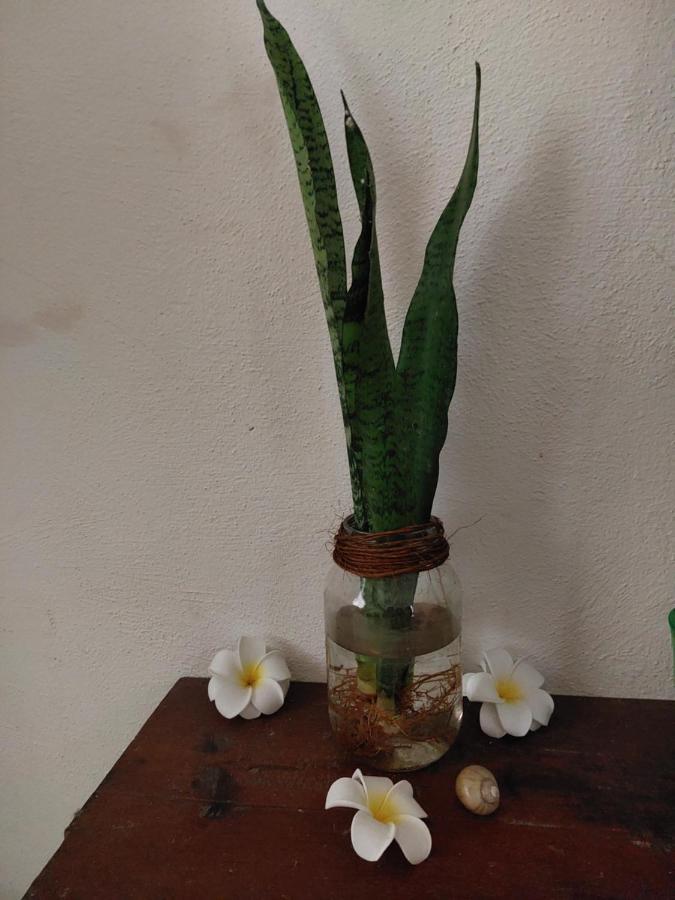 バカラルCasa De Viajerosアパートメント エクステリア 写真